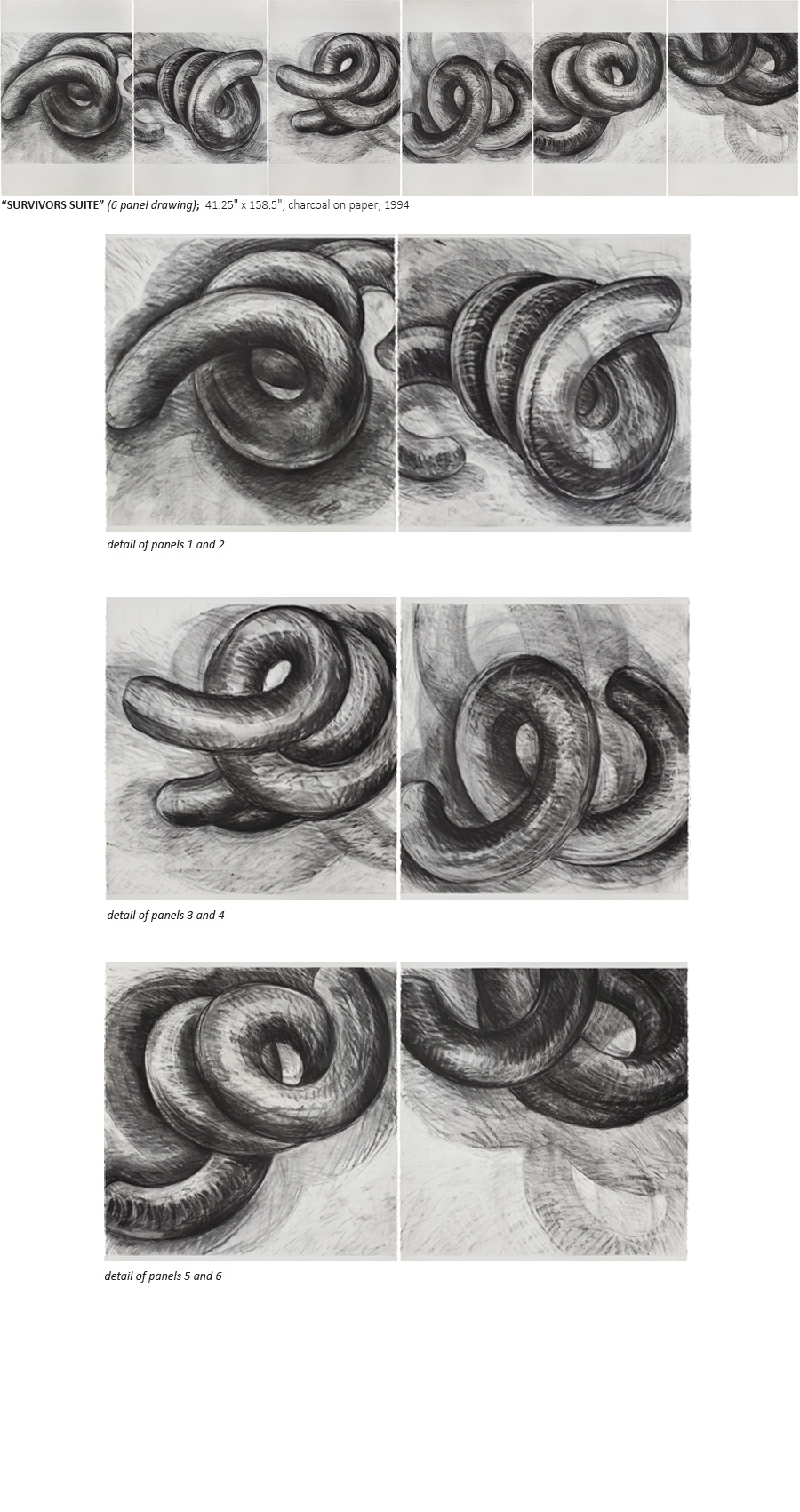 "Survirors Suite" six panel charcoal drawing by Marcy R. Edelstein